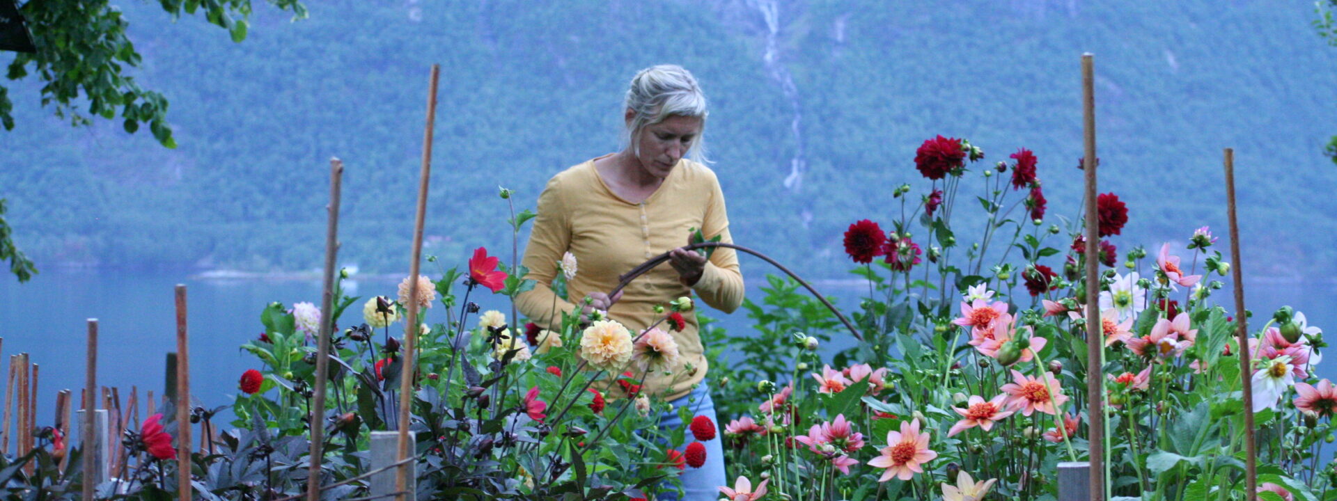 Reiselivet blomstrer